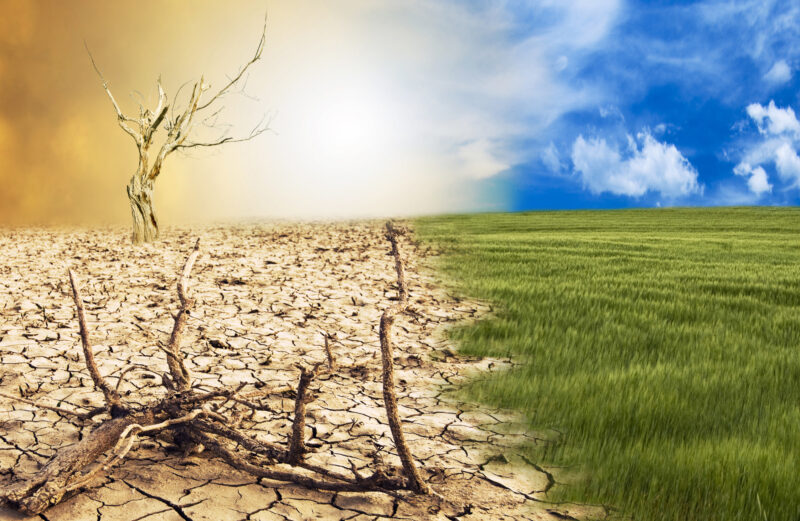 Küresel İklim Krizi Karşısında İşbirliği ve Politika Çözümleri: Dr. Yaşam Ayavefe'nin Bakış Açısı