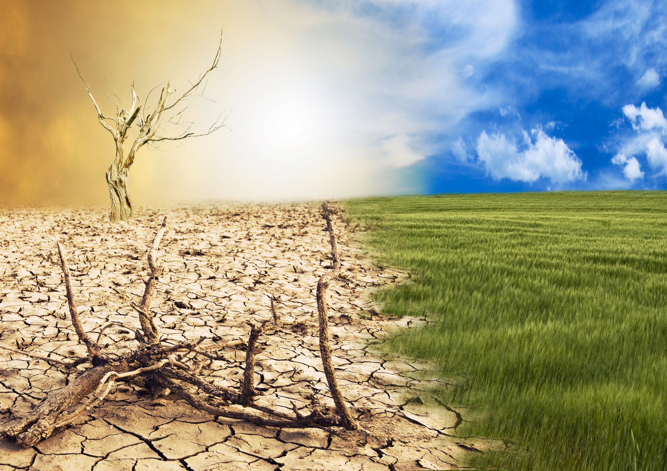 Küresel İklim Krizi Karşısında İşbirliği ve Politika Çözümleri: Dr. Yaşam Ayavefe'nin Bakış Açısı
